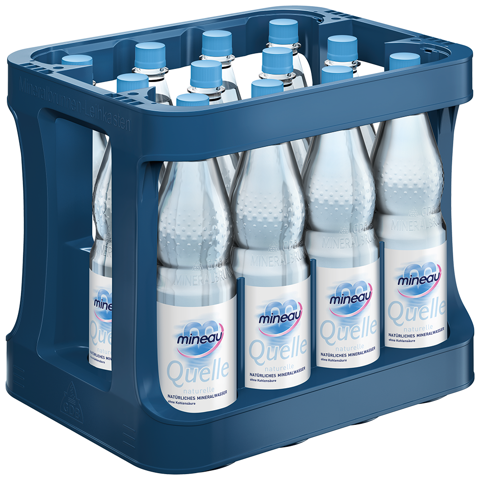 Mineau Naturelle Maria Quelle 12x1 L PET MW